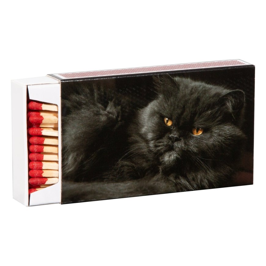 Matches 10cm 55 pcs. in box