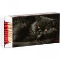 Matches 10cm 55 pcs. in box Matches 10cm 55 pcs. in box