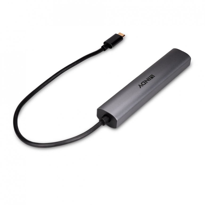 Lindy 43384 interfeisa centrmezgls USB Veids-C 10000 Mbit/s Pelēks – 2