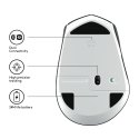 Logitech M720 hiir Kontor Parempoolne RF juhtmeta ühendus + Bluetooth Optiline 1000 DPI Logitech M720 hiir Kontor Parempoolne RF juhtmeta ühendus + Bluetooth Optiline 1000 DPI