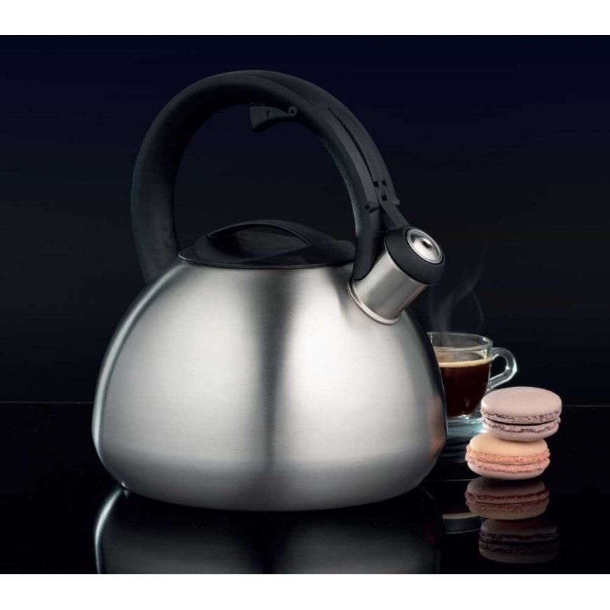 Dajar Kettle with whistle Acero 2.6 l AMBITION