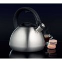 Dajar Kettle with whistle Acero 2.6 l AMBITION