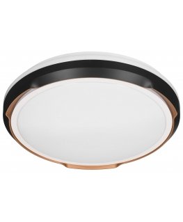Activejet AJE-PETRUS 24W laevalgusti Mittevahetatav(ad) pirn(id) LED