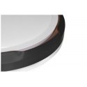 Activejet AJE-PETRUS 24W laevalgusti Mittevahetatav(ad) pirn(id) LED Activejet AJE-PETRUS 24W laevalgusti Mittevahetatav(ad) pirn(id) LED