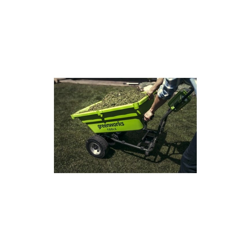 Greenworks G40GC Mootoriga aiakäru – 2