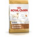 Royal Canin Labrador Retriever Adult 12 kg Poultry, Rice Royal Canin Labrador Retriever Adult 12 kg Poultry, Rice