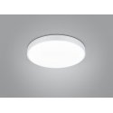 TRIO WACO ceiling lighting Non-changeable bulb(s) LED