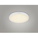 TRIO WACO ceiling lighting Non-changeable bulb(s) LED