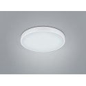 TRIO WACO ceiling lighting Non-changeable bulb(s) LED