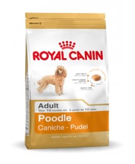 Royal Canin Poodle Adult 1,5 kg Pieaudzis suns