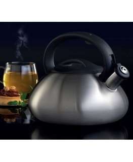 Dajar Virdulys su gwizdkiem Melody 2,5 l satynowy AMBITION