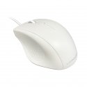 LC-Power LC-M710W pele Speļu Labā roka USB Type-A Optisks 800 DPI LC-Power LC-M710W pele Speļu Labā roka USB Type-A Optisks 800 DPI