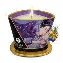 SHUNGA Exotic Fruits 170 ml 1 tk 40 h SHUNGA Exotic Fruits 170 ml 1 tk 40 h