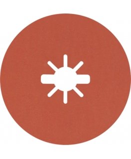 Bosch EXPERT R782 PRISMA Slīpēšanas disks