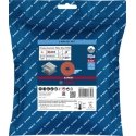 Bosch EXPERT R782 PRISMA Grinding disc