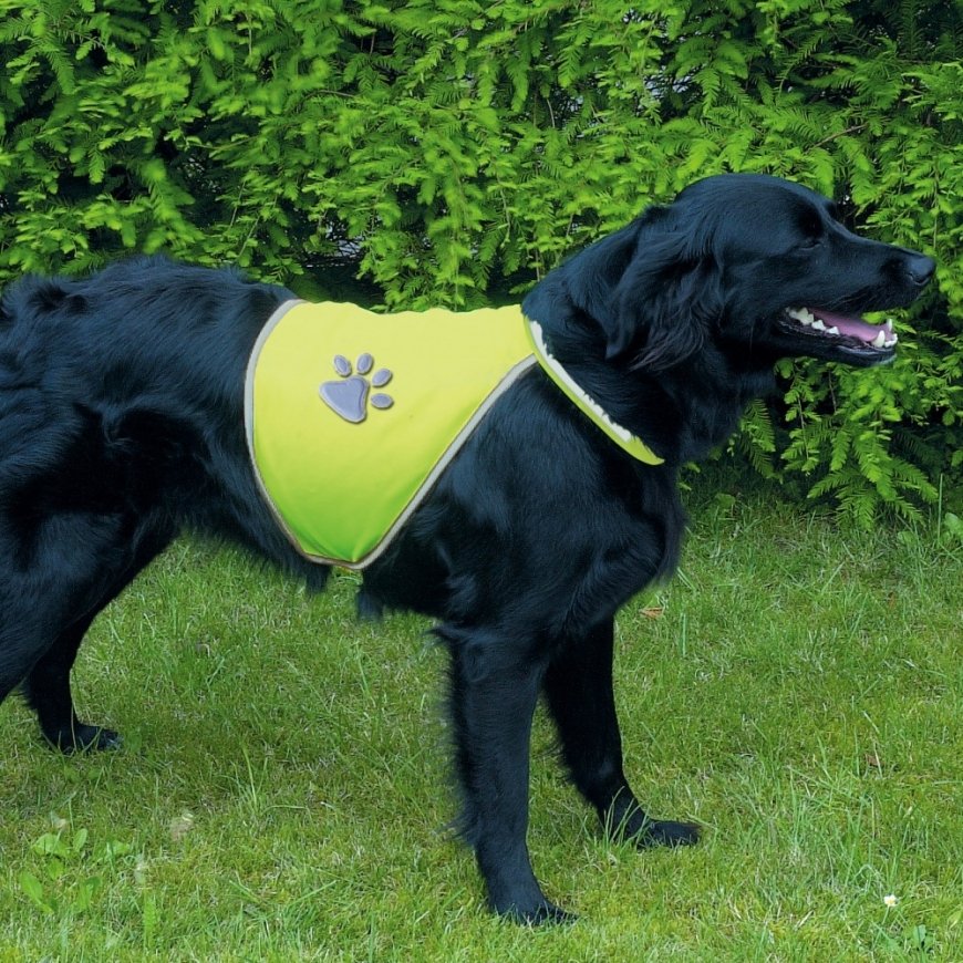 TRIXIE 30082 dog safety vest M Polyester Green – 2