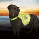 TRIXIE 30082 dog safety vest M Polyester Green TRIXIE 30082 dog safety vest M Polyester Green