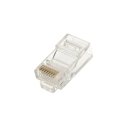 Extralink RJ45 Connector CAT5E UTP RJ45 8P8C Extralink RJ45 Connector CAT5E UTP RJ45 8P8C