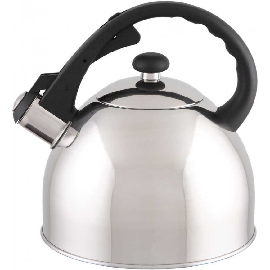 Domotti Kettle with whistle Ponti 2