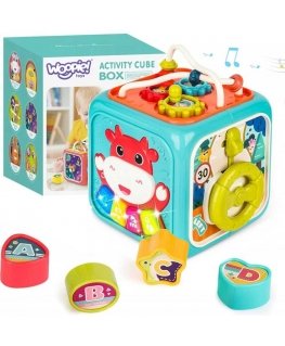 WOOPIE Montessori Educational Sensory Cube Sorter 6in1