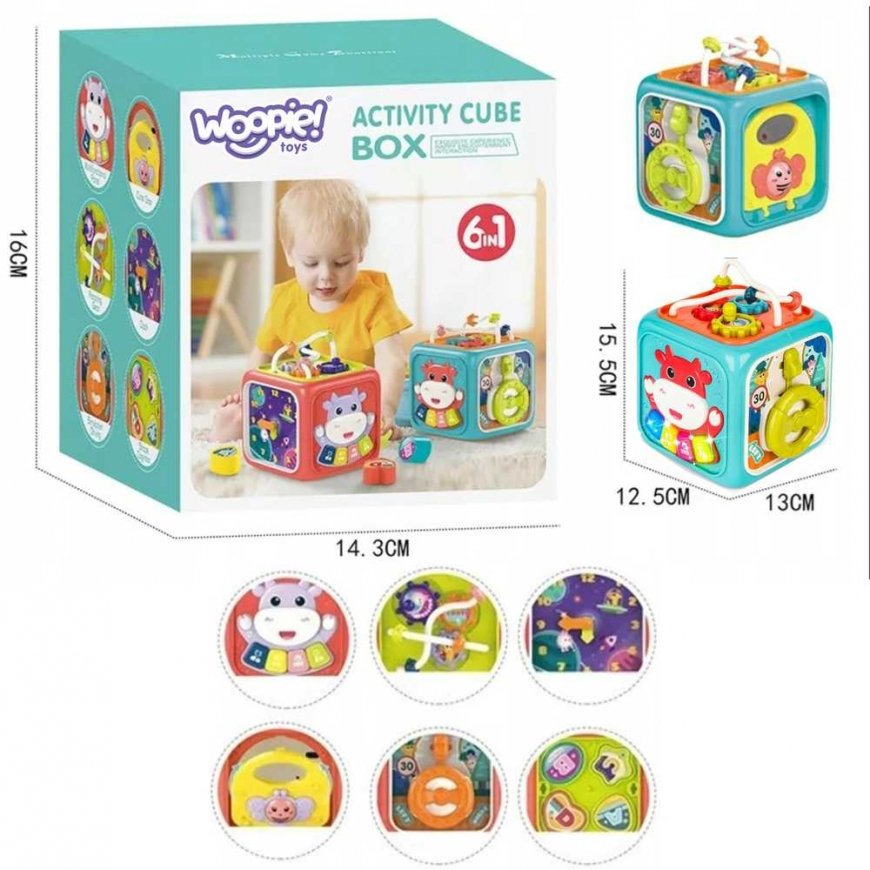 WOOPIE Montessori Educational Sensory Cube Sorter 6in1 – 5