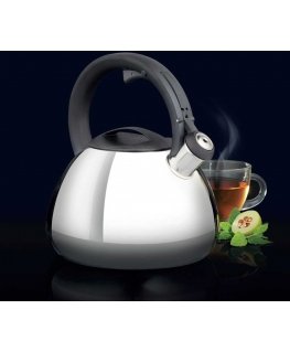 Kettle with whistle Berry 2.6 l AMBITION