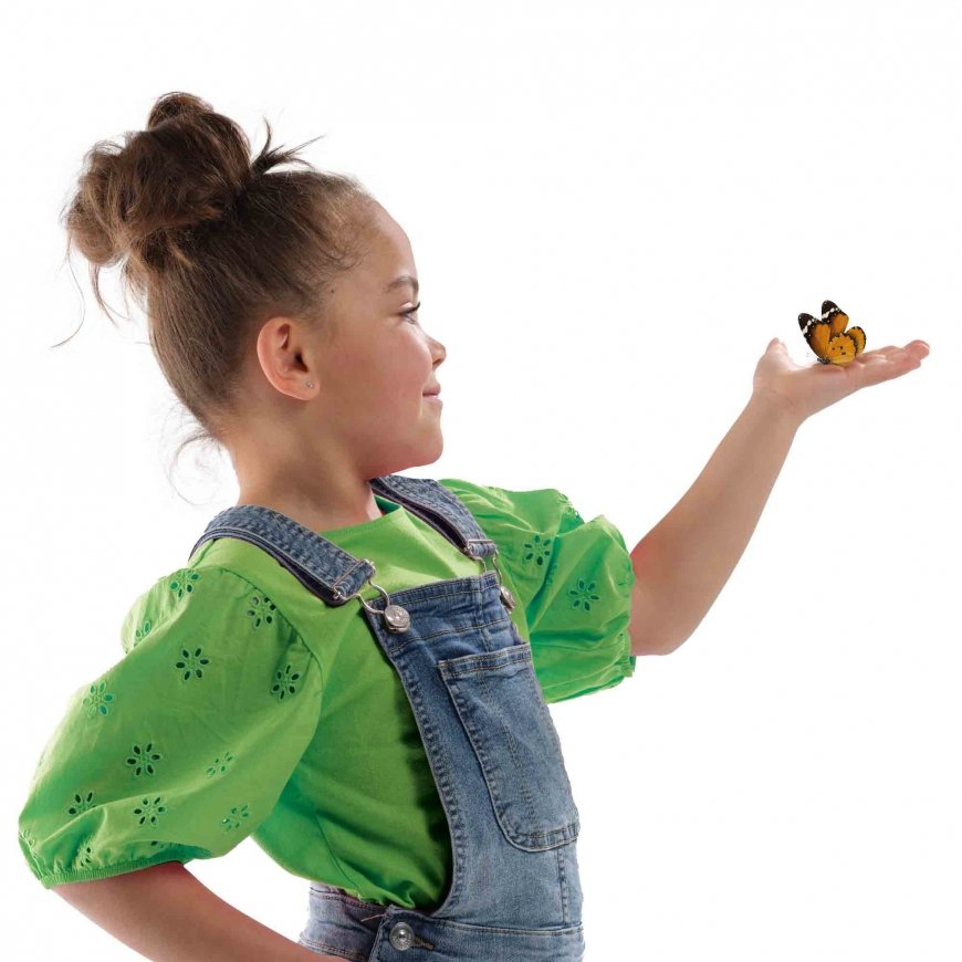 SES Creative Explore Butterfly hotel – 5