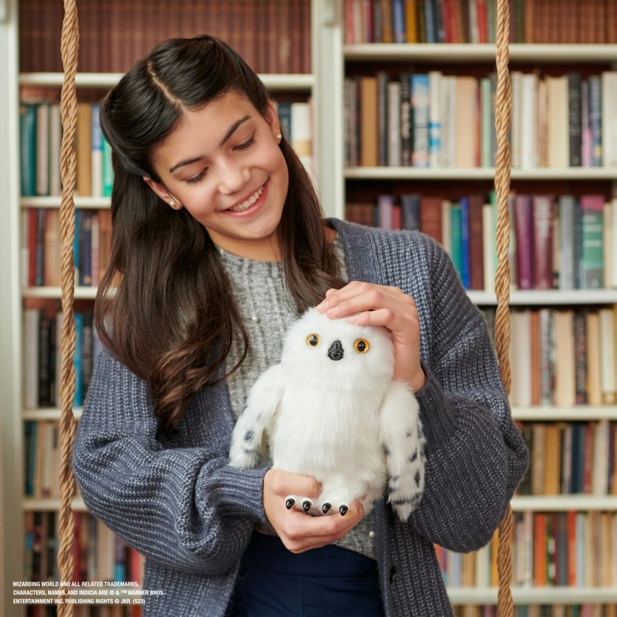 Wizarding World WWO INA Enchanting Hedwig GML – 2