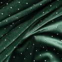 Euro curtains ZAS/ARIADNA/C.ZI 140X250 TRANS Euro curtains ZAS/ARIADNA/C.ZI 140X250 TRANS