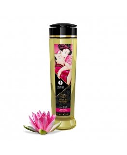 SHUNGA 0697309012232 Hierontavoide ja -öljy Hierontaöljy 240 ml Laventeli
