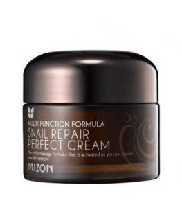 Veido kremas Mizon Snail Repair Perfect Kreminis, su sraigių mucinu, atstatantis veido odą, 50 ml