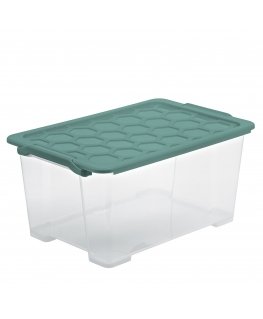 Rotho 1008105092 storage box Rectangular Green, Transparent