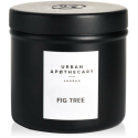 Urban Apothecary, Fig Tree, Scented Candle, 175 g Urban Apothecary, Fig Tree, Scented Candle, 175 g