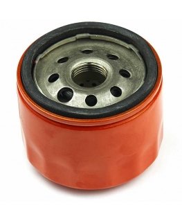 Oil filter Briggs&Stratton 798576 1 pc.