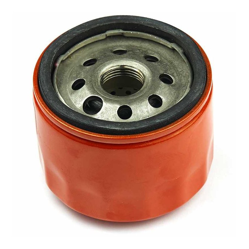 Briggs&Stratton Oil filter Briggs&Stratton 798576 1