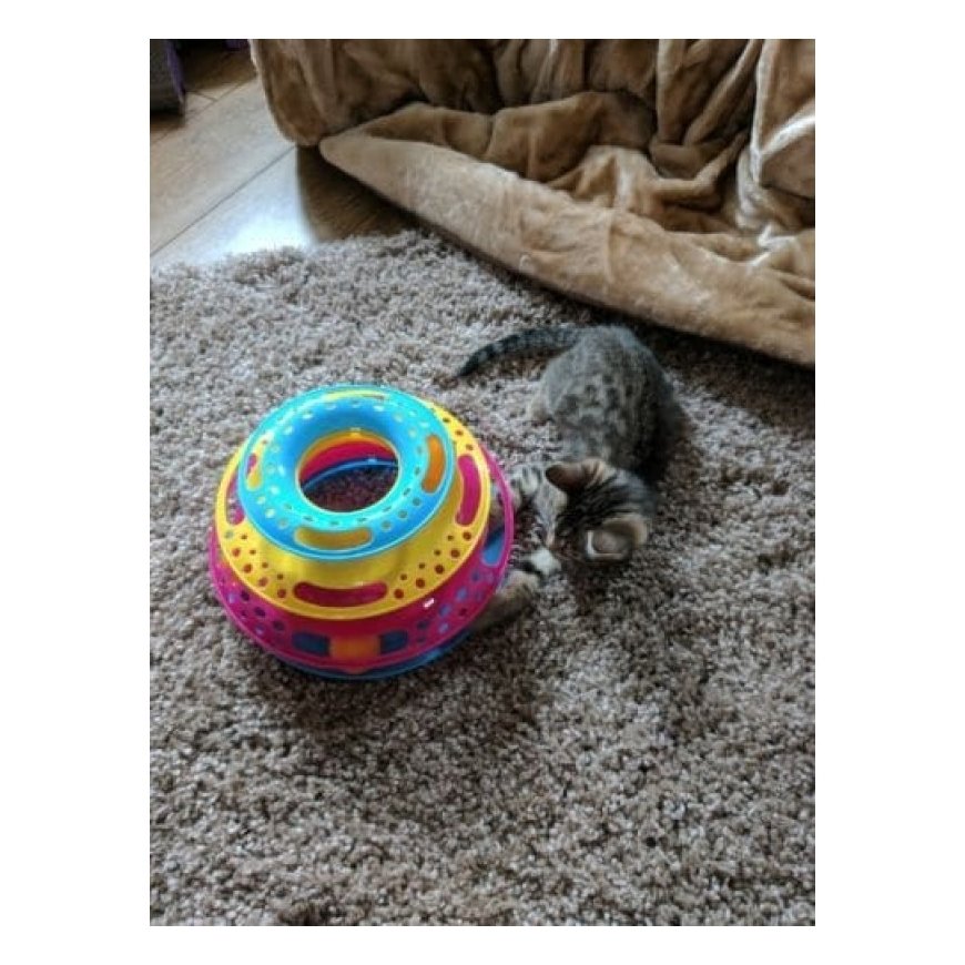Cat toy - Trixie Playing rod fish, plastic|plush, 46 cm