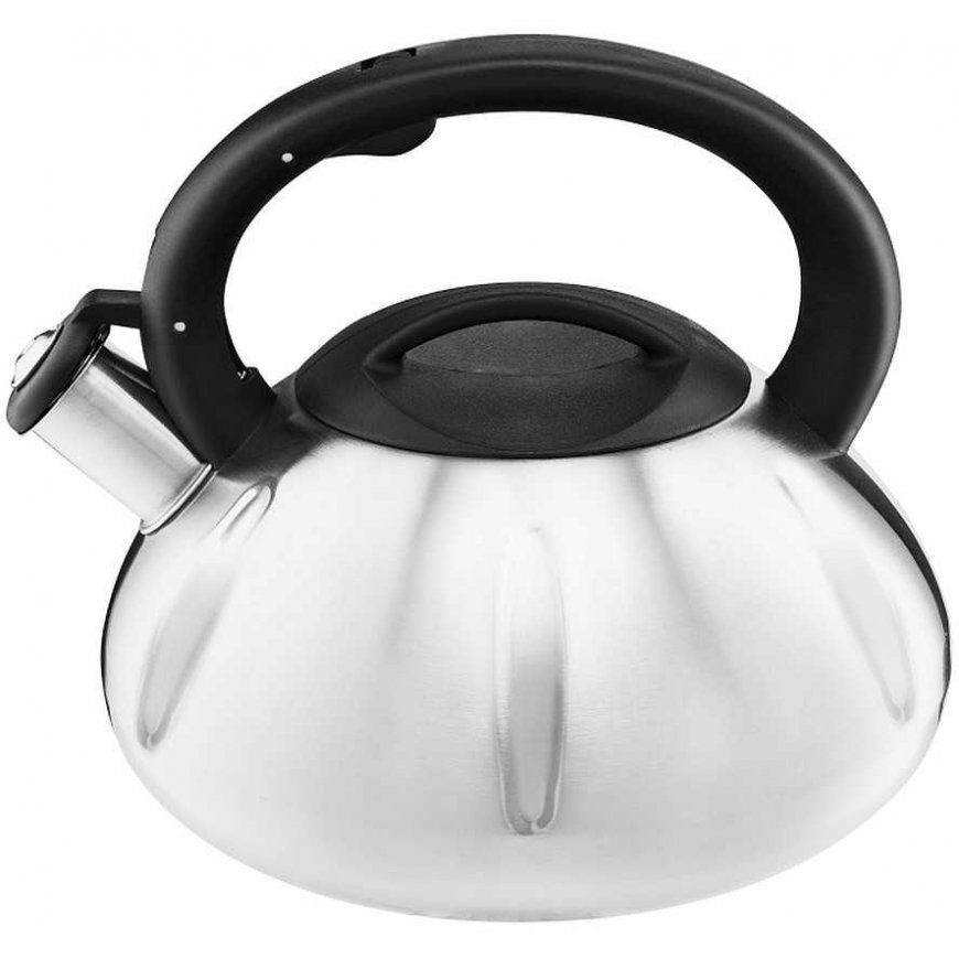 Dajar Kettle with whistle Melody II 2.5 l AMBITION