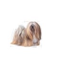Royal Canin Exigent Mėsa Universalus 85 g Royal Canin Exigent Mėsa Universalus 85 g