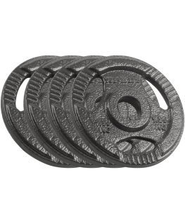 Set of cast iron weights 4x1.25kg, hole 31mm, plate with handles, REBEL ACTIVE