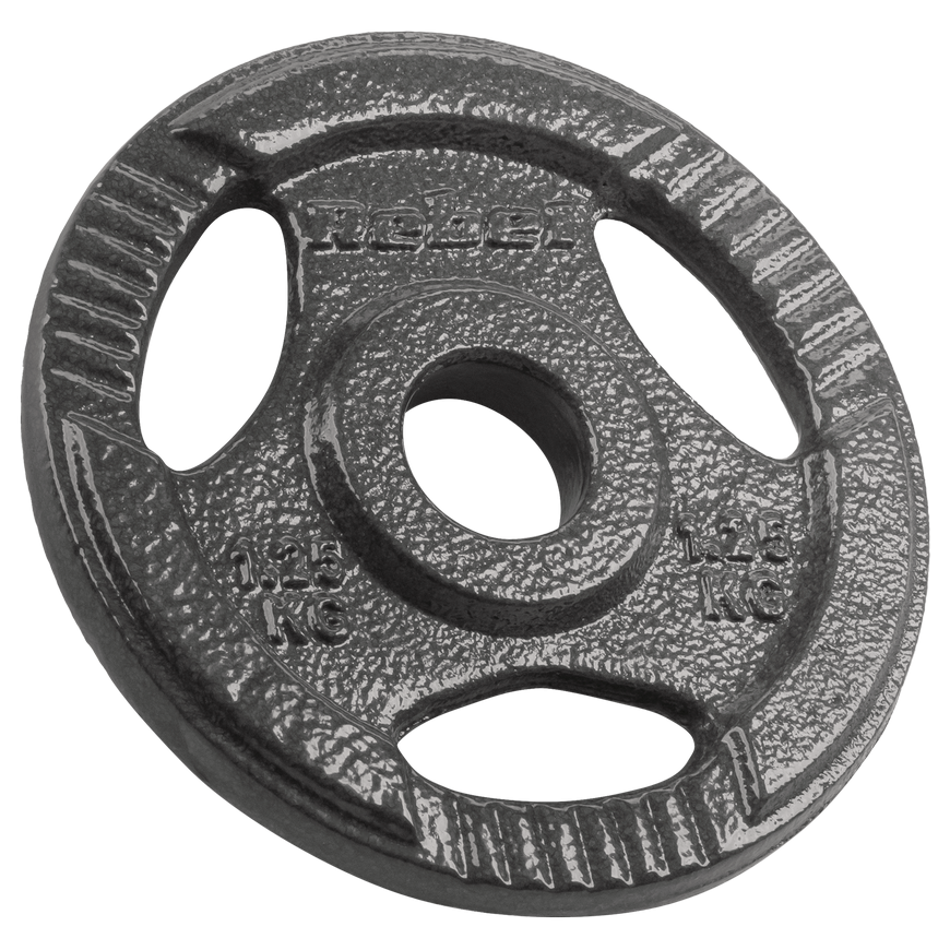 Ketaus svarelių rinkinys 4x1.25kg, skylė 31mm, plokštė su rankenomis, REBEL ACTIVE – 2