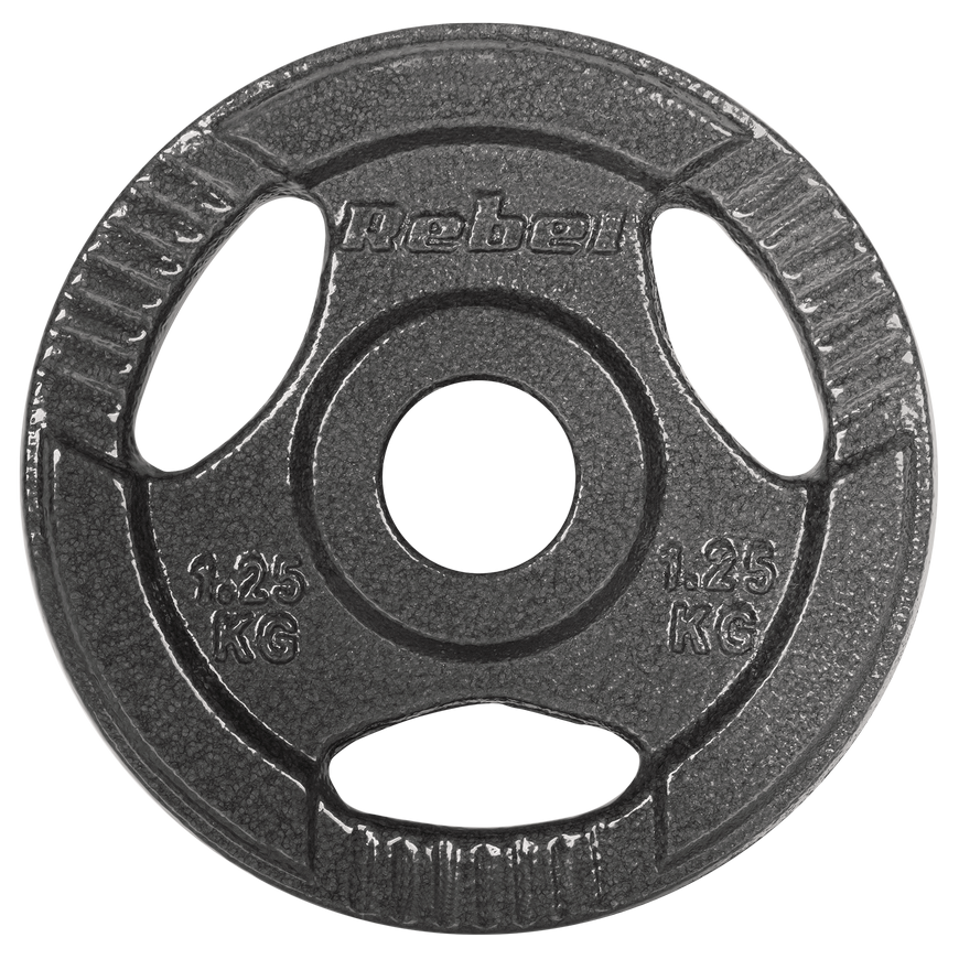 Set of cast iron weights 4x1.25kg, hole 31mm, plate with handles, REBEL ACTIVE – 3