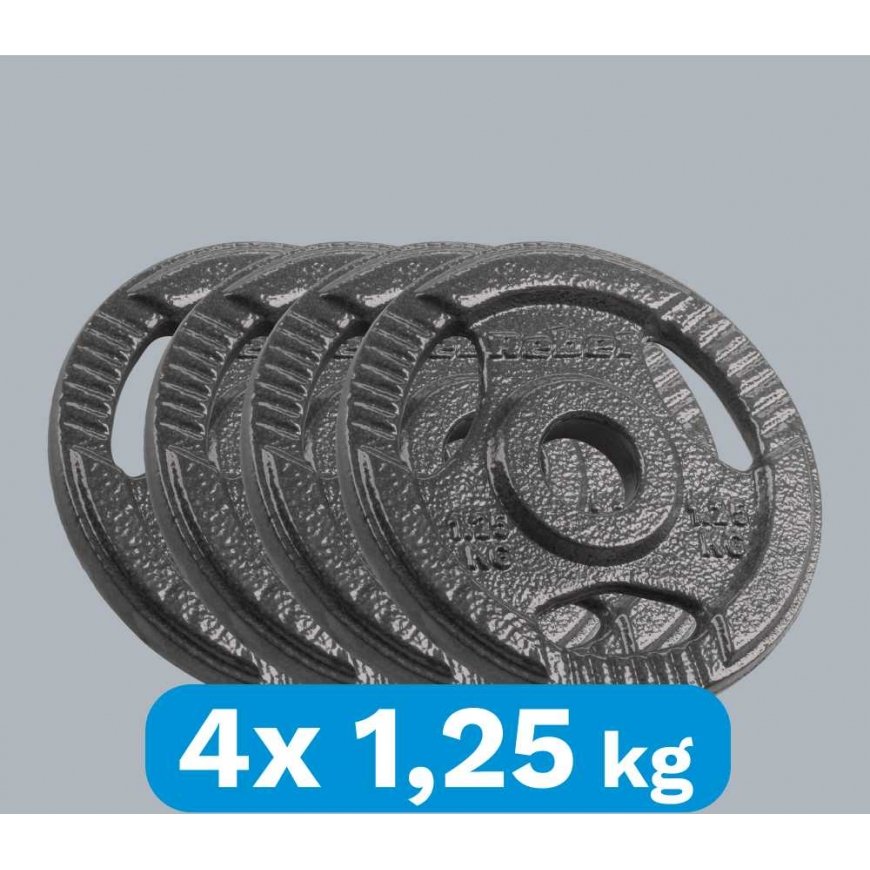 Set of cast iron weights 4x1.25kg, hole 31mm, plate with handles, REBEL ACTIVE – 5