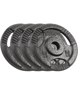 Ketaus svarelių rinkinys 4x2.5kg, skylė 31mm, plokštė su rankenomis, REBEL ACTIVE