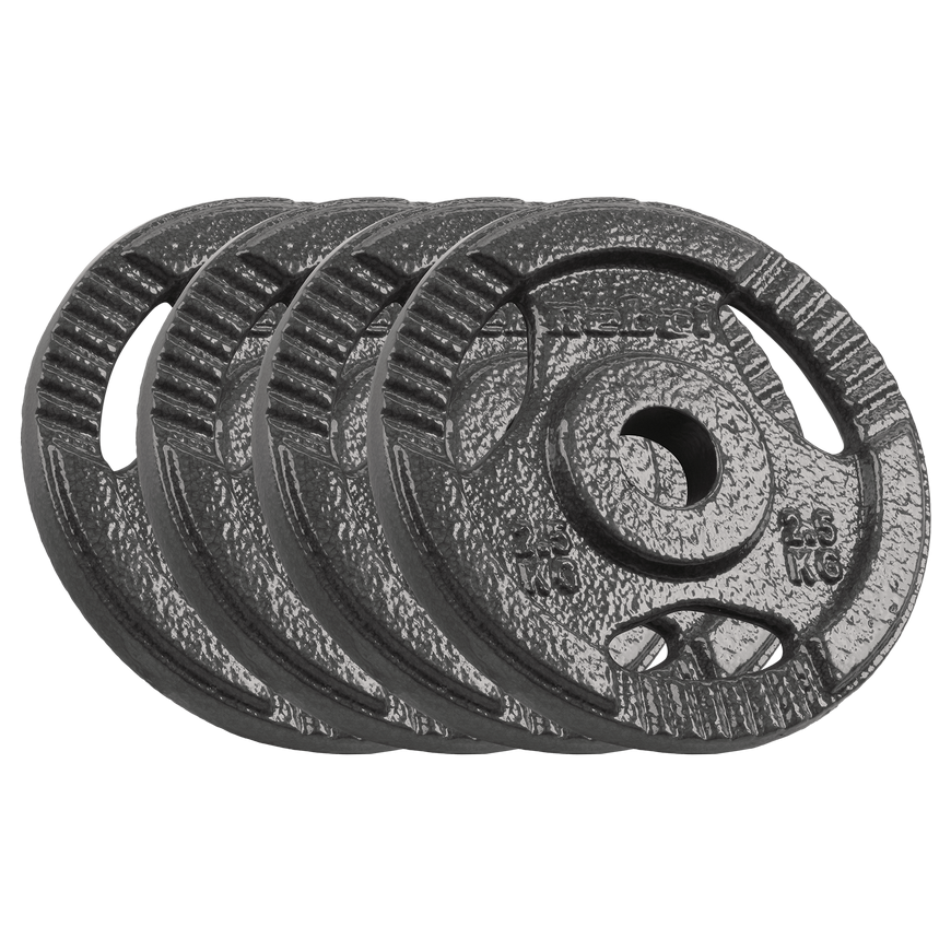 Set of cast iron weights 4x2.5kg, hole 31mm, plate with handles, REBEL ACTIVE