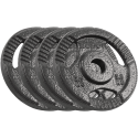 Set of cast iron weights 4x2.5kg, hole 31mm, plate with handles, REBEL ACTIVE