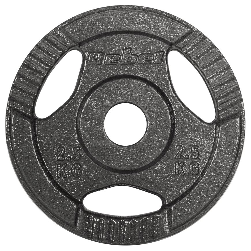 Set of cast iron weights 4x2.5kg, hole 31mm, plate with handles, REBEL ACTIVE – 3
