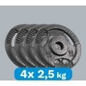 Ketaus svarelių rinkinys 4x2.5kg, skylė 31mm, plokštė su rankenomis, REBEL ACTIVE Ketaus svarelių rinkinys 4x2.5kg, skylė 31mm, plokštė su rankenomis, REBEL ACTIVE