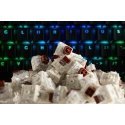 Glorious PC Gaming Race KAI-BROWN sisendseadme tarvik Klaviatuuri lülitid