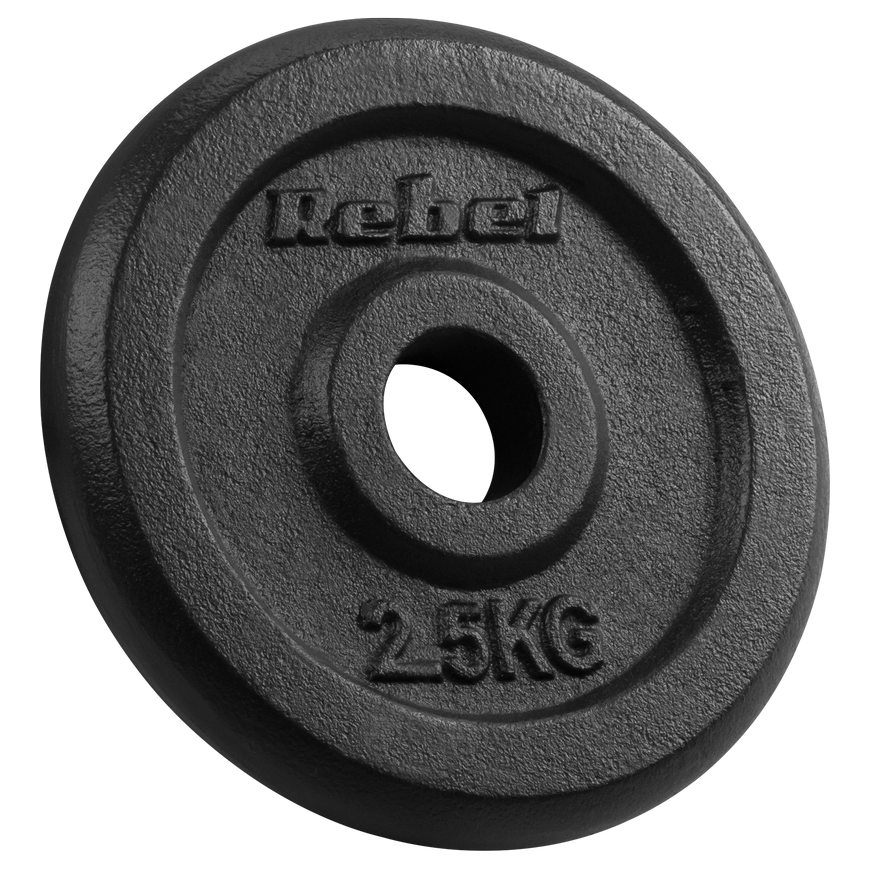 Set of cast iron weights 4x2.5kg, hole 31mm, classic plate, REBEL ACTIVE – 2