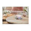 Yankee Candle Signature восковая свеча Цилиндр Лаванда, Лемон Пурпурный 1 шт Yankee Candle Signature восковая свеча Цилиндр Лаванда, Лемон Пурпурный 1 шт